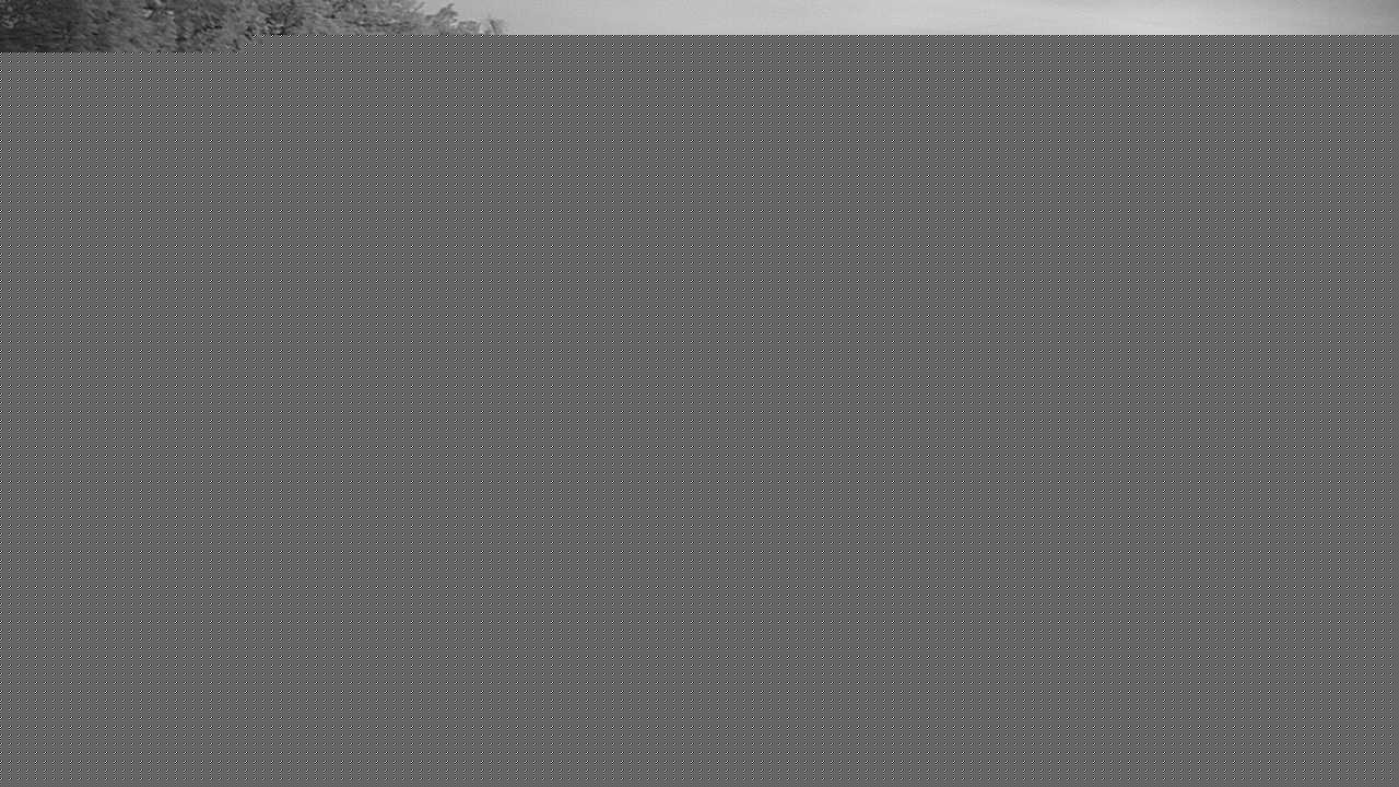 Live Cam Snapshot