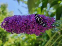 25. 6. 2024_13:46:53