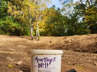 Amethyst Welt podzim_Web